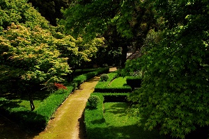 jardin